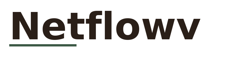 Netflowv logo